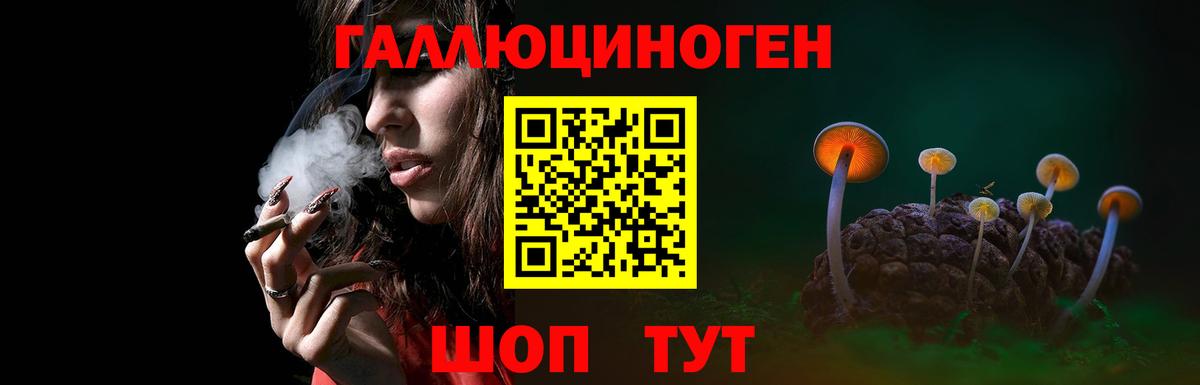 Псилоцибиновые грибы мицелий  Псилоцибиновые грибы Cubensis  Вход с VPN  Ахтубинск 